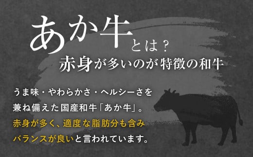 【定期便10ヶ月】 熊本県産 ステーキ用 あか牛 (ヒレ肉 600g ・ ロース肉 800g) 定期便 セット 牛肉 国産 赤牛