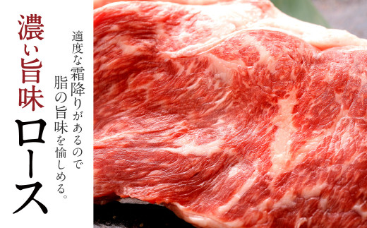 【定期便10ヶ月】 熊本県産 ステーキ用 あか牛 (ヒレ肉 600g ・ ロース肉 800g) 定期便 セット 牛肉 国産 赤牛