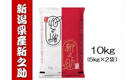 【令和6年産新米予約】新之助 10kg (5kg×2袋) 白米 精米 井上米穀店 11月上旬より順次発送予定 1I05027 389045 - 新潟県阿賀野市