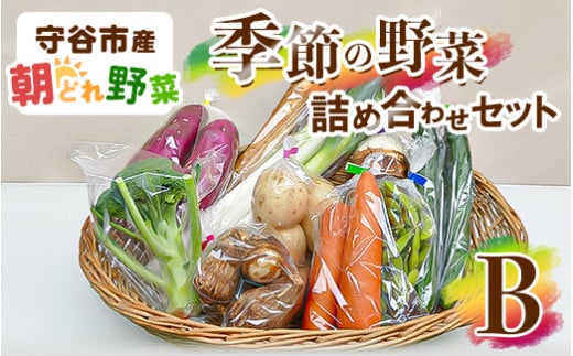 季節の野菜セットB 914881 - 茨城県守谷市