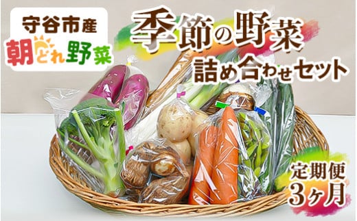 【定期便】季節の野菜セット定期便 914879 - 茨城県守谷市