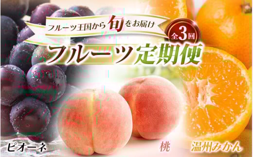 【全3回】フルーツ定期便 桃 ピオーネ 温州みかん フルーツ王国から旬をお届け/フルーツ 果物 もも モモ ぶどう ブドウ みかん ミカン 柑橘 旬 定期便【tkb303】 766078 - 和歌山県古座川町