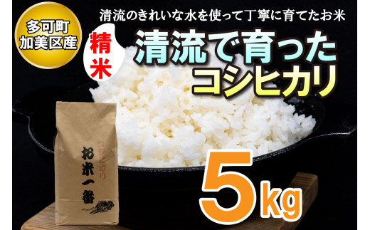 多可町加美区の清流で育ったコシヒカリ【精米】５kg[830] 