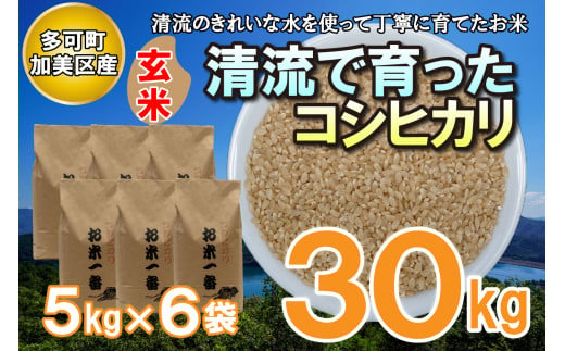 多可町加美区の清流で育ったコシヒカリ【玄米】５kg×６袋[831] 