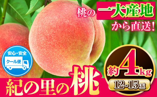 和歌山県産 紀の里の桃 約4kg(12-15玉入り)《2023年6月中旬-8月中旬頃