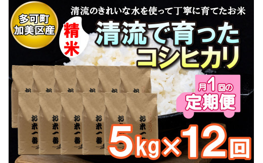 【定期便】多可町加美区の清流で育ったコシヒカリ【精米】５kg×12か月[833]