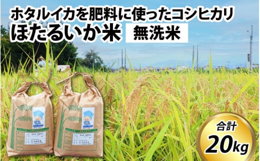 【訳あり】ほたるいか米（無洗米20kg）【通年発送】 711896 - 富山県滑川市
