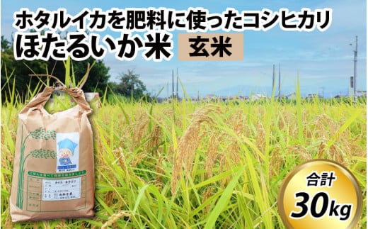 【訳あり】ほたるいか米（玄米30kg）【通年発送】 711900 - 富山県滑川市