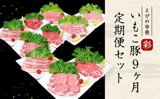【定期便9ヶ月】えびの市発(彩) いもこ豚 バラエティセット 鍋  鉄板焼