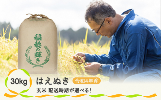 米 30kg はえぬき 玄米 令和4年産 2023年6月下旬 kb-hagxb30-6s 生産者応援! 644767 - 山形県尾花沢市