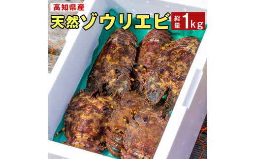 幻の天然ゾウリエビ１kg（サイズおまかせ）※着日指定不可※タビエビ 甲殻類 海老 地元ですら流通しない希少セミエビ科【R00620】