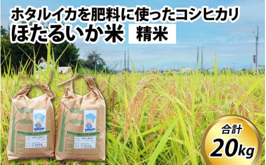 【訳あり】ほたるいか米（精米20kg）【通年発送】