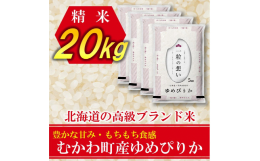 2023年4月発送開始『定期便』北海道のブランド米!北海道むかわ町産ゆめぴりか精米20kg全3回【5103101】