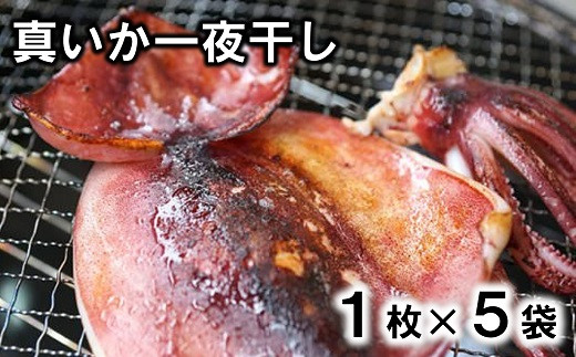 【年内発送】北三陸産 イカの一夜干し特大 １枚入り×５袋 いか イカ焼き イカ飯 BBQ イカゲソ 年内配送 年内お届け 年内