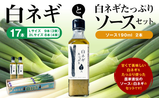 売れ筋介護用品も！ 大分県産 採れたて白ネギ（細め）7kg×2箱 （太め