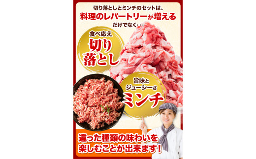 6ヶ月定期便 熊本うまかポーク 切り落とし セット 計6回お届け