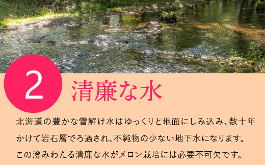 8-032 【出荷開始中】期間限定 北海道産赤肉メロン（大玉）（1玉