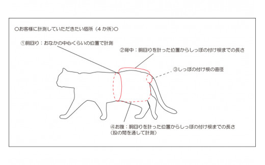 【オーダーメイド】猫専用おむつカバー