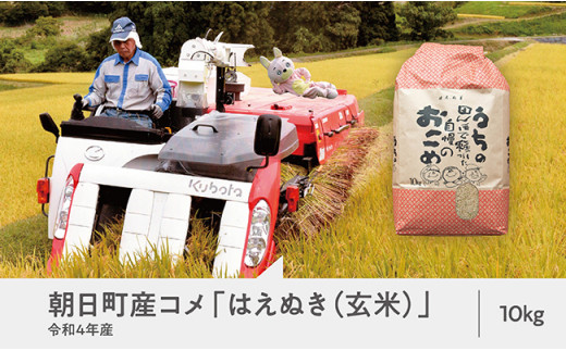 【令和4年産】朝日町産 はえぬき 玄米 10kg 645187 - 山形県朝日町