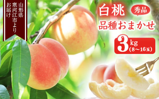 山形の白桃 3kg 品種おまかせ (8～1