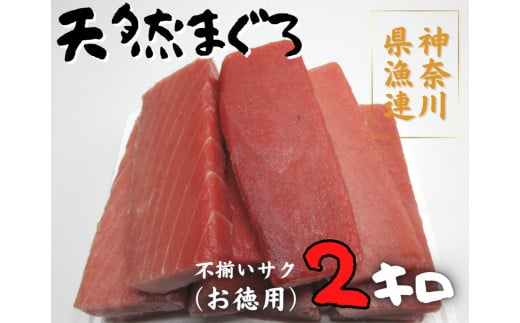 2-105神奈川県漁連 天然マグロ 2ｋｇ【お徳用】不揃いサク 645149