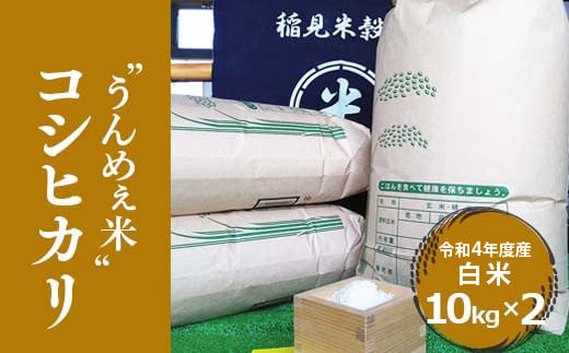 令和4年度産]栃木県上三川町産コシヒカリ・白米 (10kg×2袋) / 栃木県上