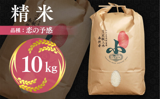 精米 恋の予感 10kg 令和5年産