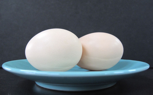 【2月上旬～順次発送予定】熊本県宇城市うこっけい卵 20個入