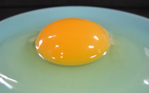 【2月上旬～順次発送予定】熊本県宇城市うこっけい卵 20個入