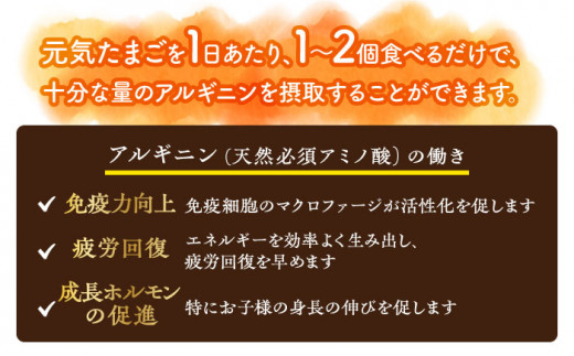 アルギニン 元気たまご 20個 自然栽培 【浅田峠自然塾】 [EA01] 212844