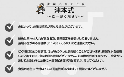 ◇津本式◇日向本鯖1尾～津本光弘本人仕立て～_M135-020 - 宮崎県宮崎