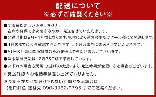 活 伊勢海老 1尾 ～ 3尾 セット 産地直送 船長 おすすめ 【いせえび