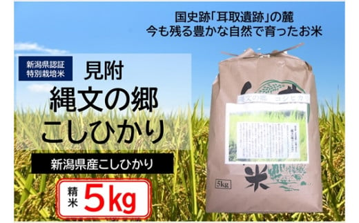 新潟 特別栽培米 令和6年産 コシヒカリ 「縄文の郷コシヒカリ」 精米 5kg 精米 したてを お届け 新潟 のど真ん中 見附市 こしひかり 米 お米 白米 国産 ごはん ご飯 県認証米 安心安全 1556969 - 新潟県見附市