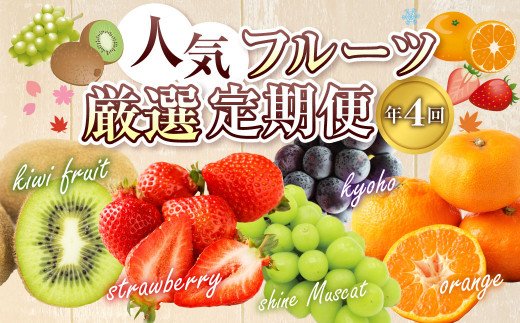 【定期便/年4回】ＪＡむなかた厳選！人気のフルーツ定期便_KB0086
