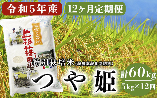 【 12ヶ月定期便 / 令和5年産 新米 】 つや姫 5kg/月 計60kg 〈2023年10月～2024年9月配送〉 特別栽培米 減農薬  減化学肥料栽培 ブランド米 農家直送 2023年産 [004R5-011]