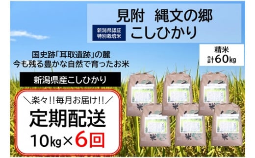 令和6年産[6か月連続お届け]新潟産コシヒカリ(県認証特別栽培米)「縄文の郷コシヒカリ」精米60kg定期便(5kg×2袋×6か月)