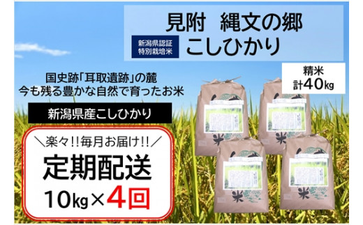 令和6 年産[4か月連続お届け]新潟産コシヒカリ(県認証特別栽培米)「縄文の郷コシヒカリ」精米40kg定期便(5kg×2袋×4か月)