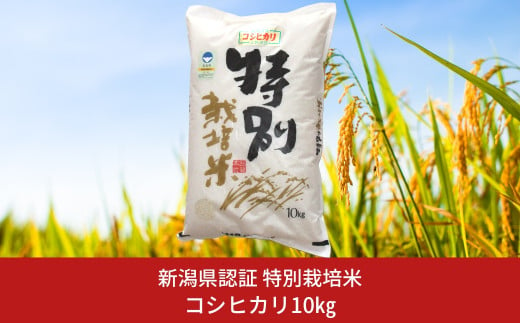 特別栽培米 コシヒカリ10kg 新潟県認証 令和5年産 新潟県三条市産 こしひかり 【018S025】