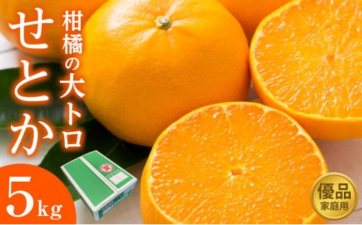 柑橘の大トロ せとか 優品 5kg（ご家庭用）