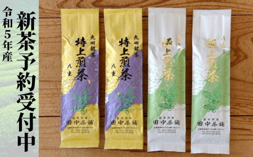 【新茶受付4月末～発送開始】「極上煎茶」2本・「特上煎茶」八重2本飲み比べセット 【佐賀県産 銘茶 嬉野茶 知覧茶 まろやか コク 香り お徳用】(H047106)