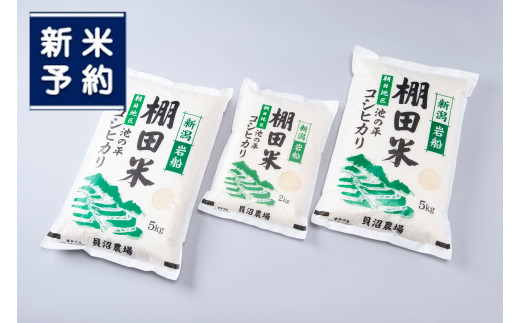 【新米受付・令和5年産米】NB4107 新潟県岩船産 棚田米コシヒカリ12kg 655420 - 新潟県村上市