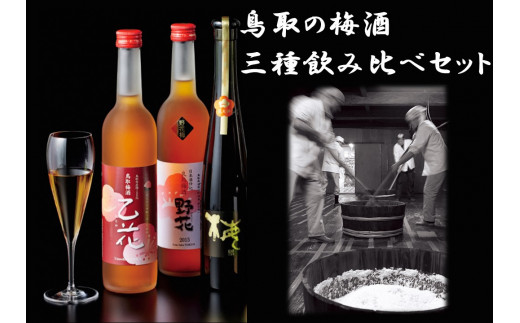 187J.鳥取の梅酒･三種飲み比べセット 764696 - 鳥取県湯梨浜町