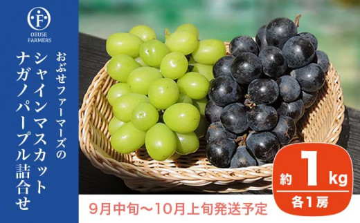 皮ごと食べられる長野県産ぶどう２種詰め合わせ シャインマスカット