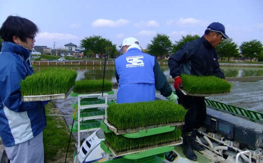 定期便5kg×3ヶ月] 特別栽培米 コシヒカリ5kg 新潟県認証 新潟県三条市