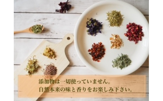 【定期便12回】ハーブティー ミニサイズ 茶葉 ティーパック リーフ