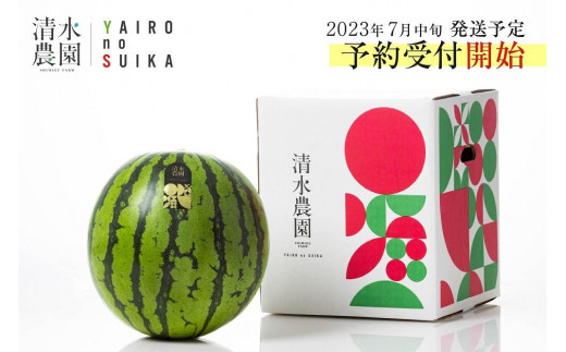 2023年7月中旬発送予定　南魚沼産スイカ　清水農園の特別栽培大玉スイカ（1玉）