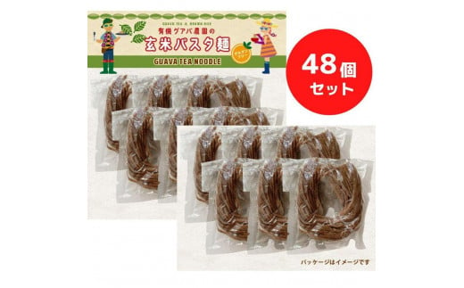 有機グアバ農園のグルテンフリー玄米麺 100g×48袋セット 646650 - 高知県南国市