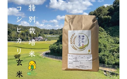 特別栽培米 神戸のまごころ コシヒカリ 玄米　5kg 647418 - 兵庫県神戸市