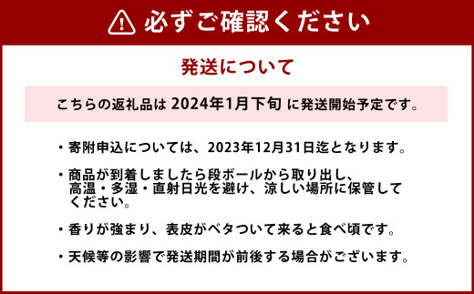 2024年1月発送開始】ぽめろまん 大玉 6個入り 柑橘類 - 熊本県