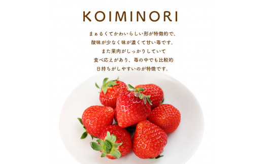 熊本たまな産 イチゴ 恋みのり 約1000g （250g×4パック） 熊本県 玉名市 いちご 生産量 西日本 1位